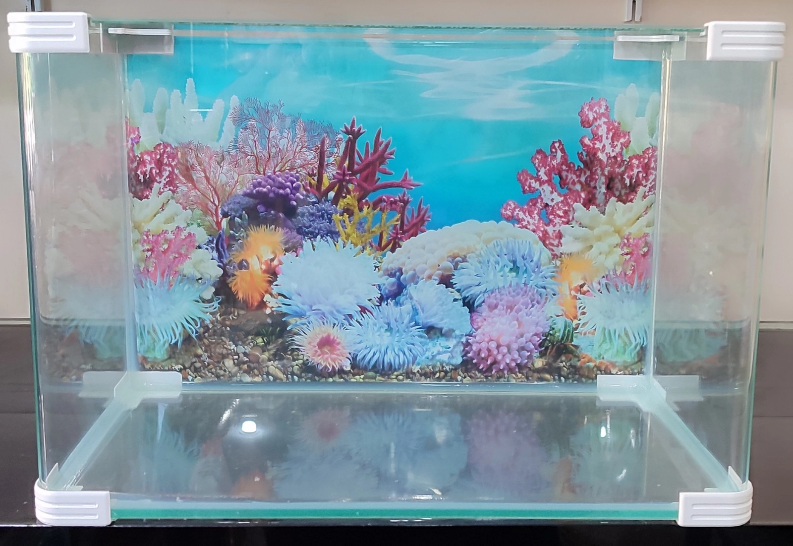 Akvarium Aquazoo, şüşə, 33 l