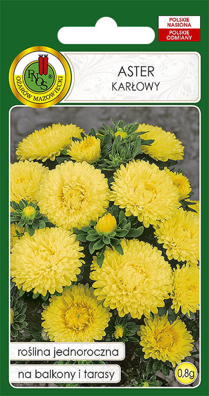 Çiçək toxumları PNOS Aster Karlowy, sarı, 0.8 q