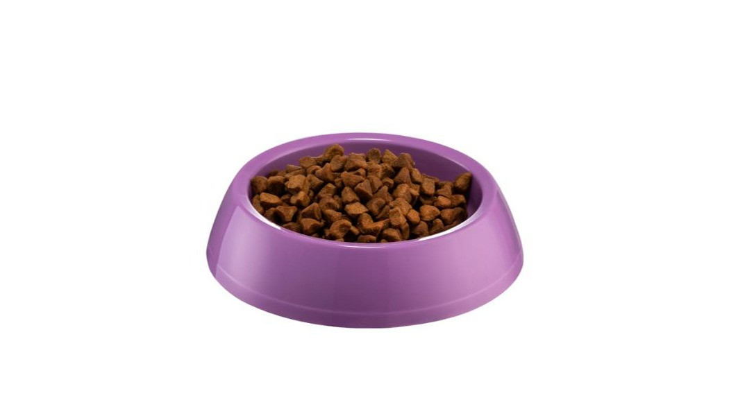 Pişiklər üçün yem qabı, plastik, bənövşəyi, 14x3.5 sm