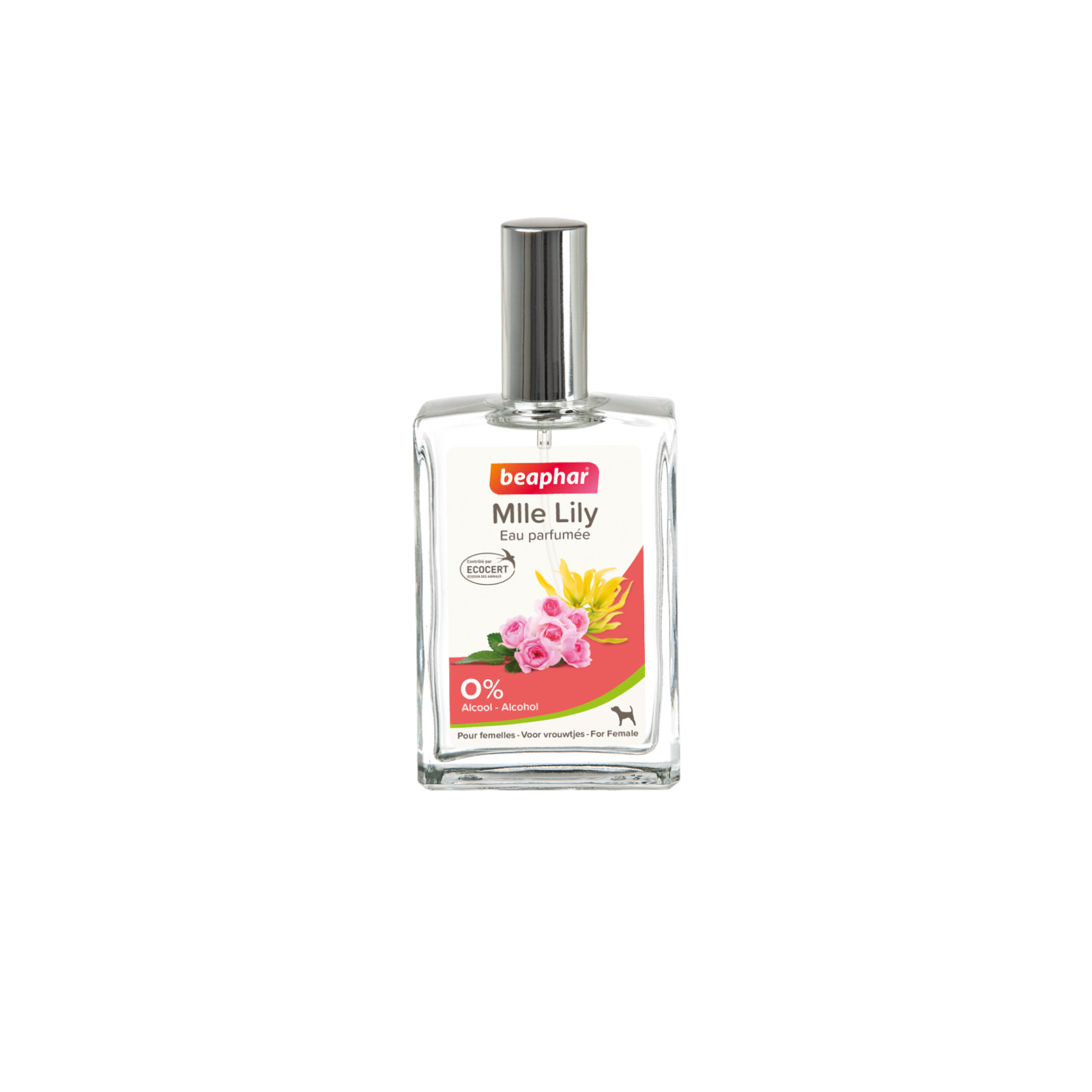 İtlər üçün ətir Beaphar Miss Lily, 50 ml
