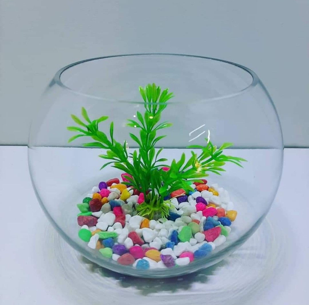 Akvarium, şüşə, şəffaf, 5 l