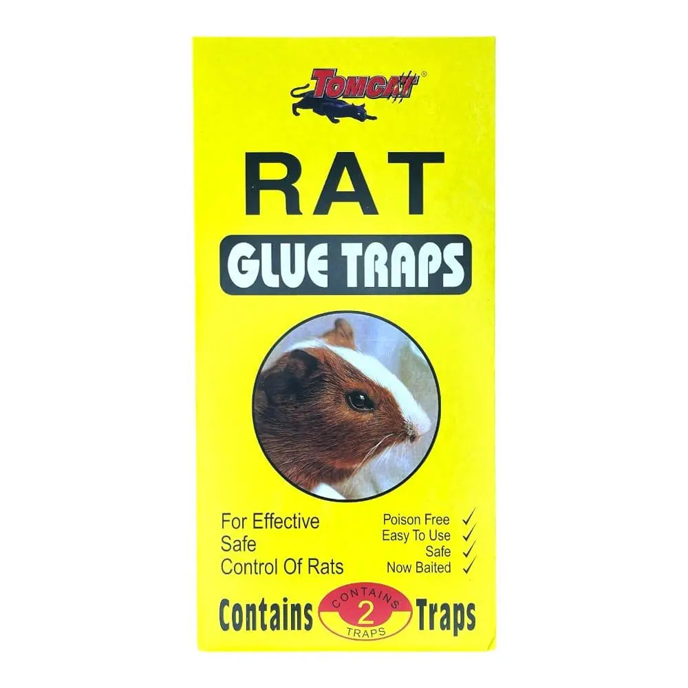 Rat kley sari
