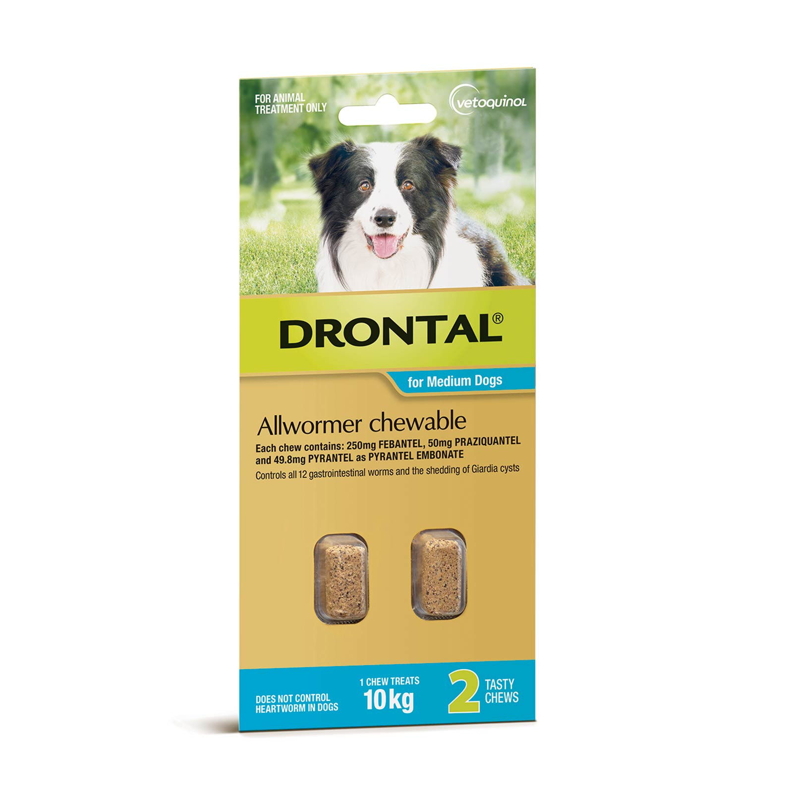 Drontal Plus 10 kq-a qədər itlər üçün ət ətirli antihelmintik, 1 TABLET