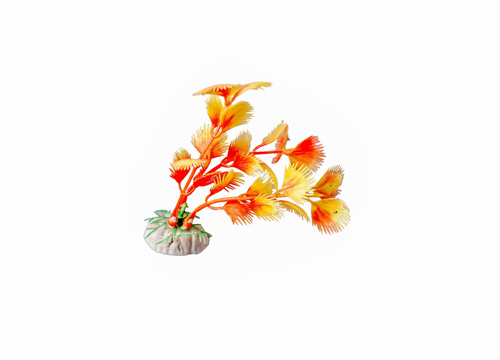 Akvarium bəzəyi üçün dekorativ ot 20896898