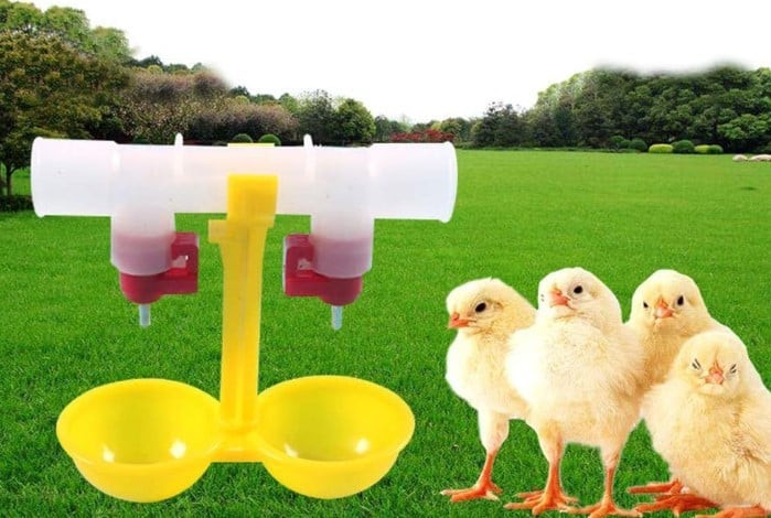 Quş qəfəsləri üçün ikibaşlı avtomatik içməli fəvvarə, paslanmayan polad və ABS plastik, sarı, 12x11 sm prl_0408