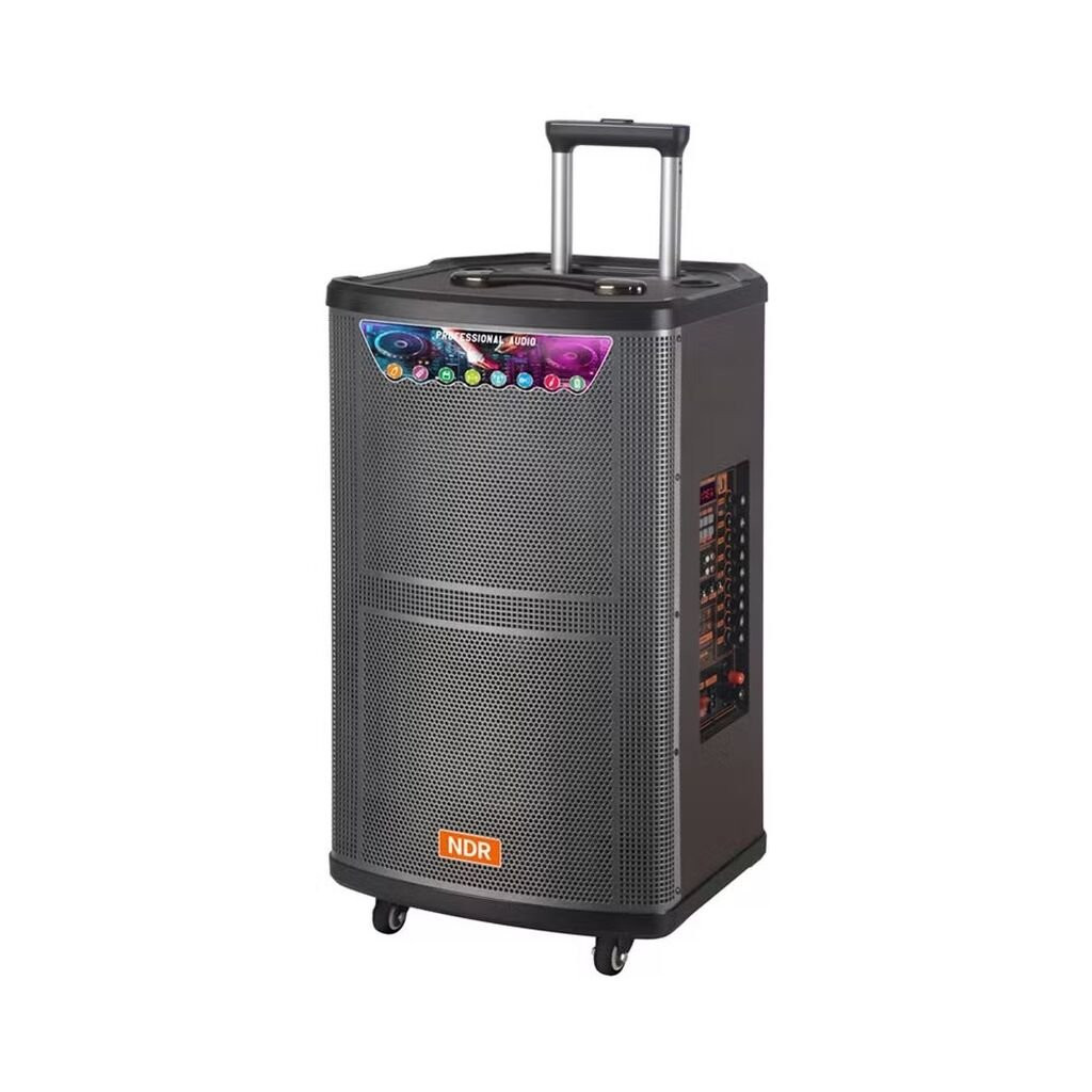 Portativ dinamik No Brand 12124758 NDR 2 mikrofonlu