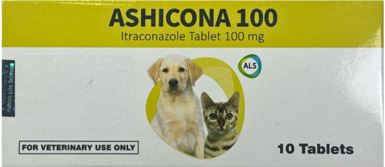 Həb itlər və pişiklər üçün Ashicona, 10 həb