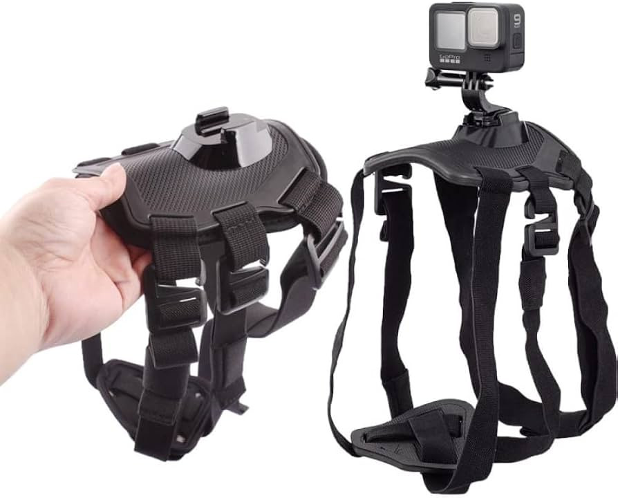 Gopro üçün ev heyvanlarına bağlamağa kəmər