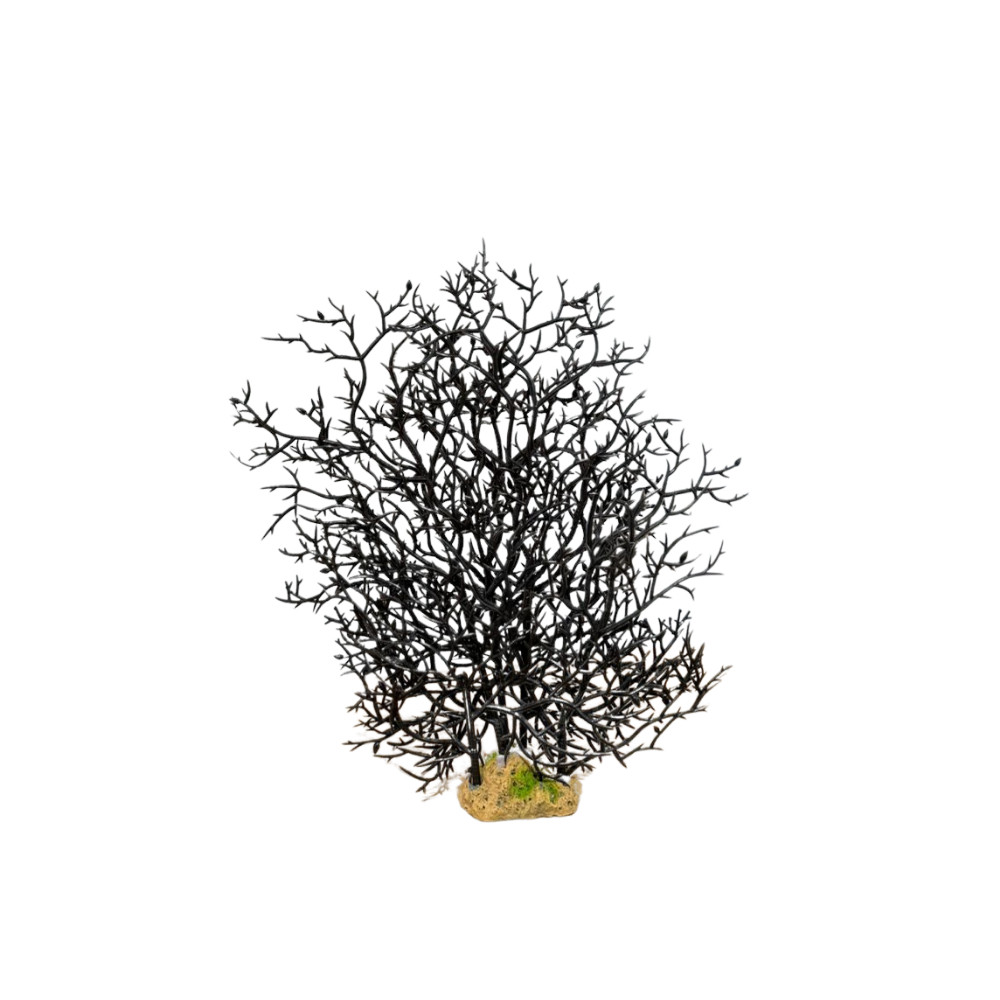 Akvarium dekoru bitki, qara