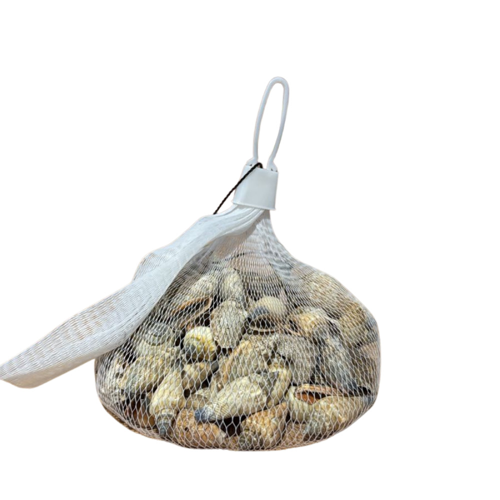 Akvarium üçün balıqqulağı dekoru, rəngbərəng.