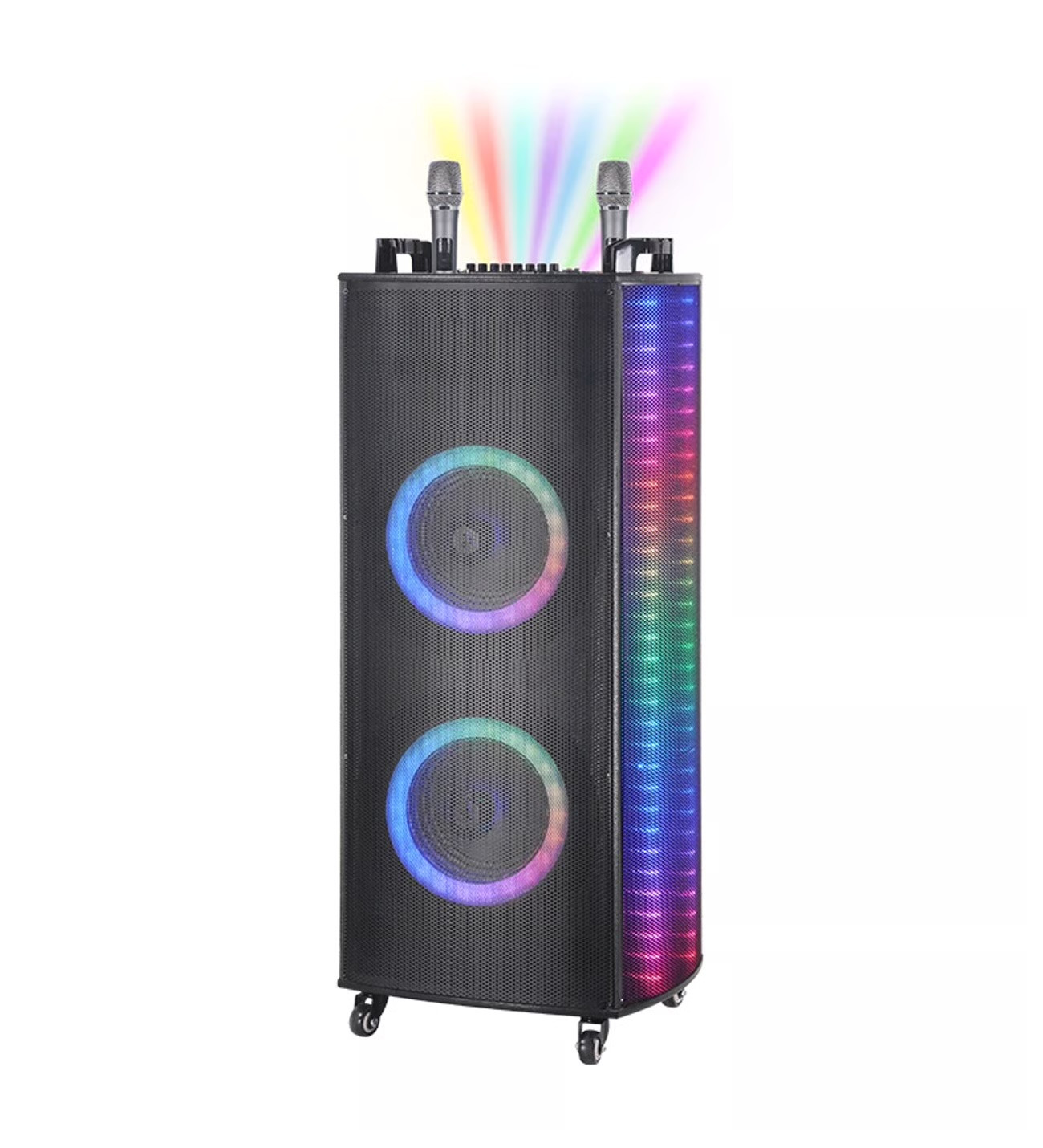 Portativ dinamik Gz-A1212
