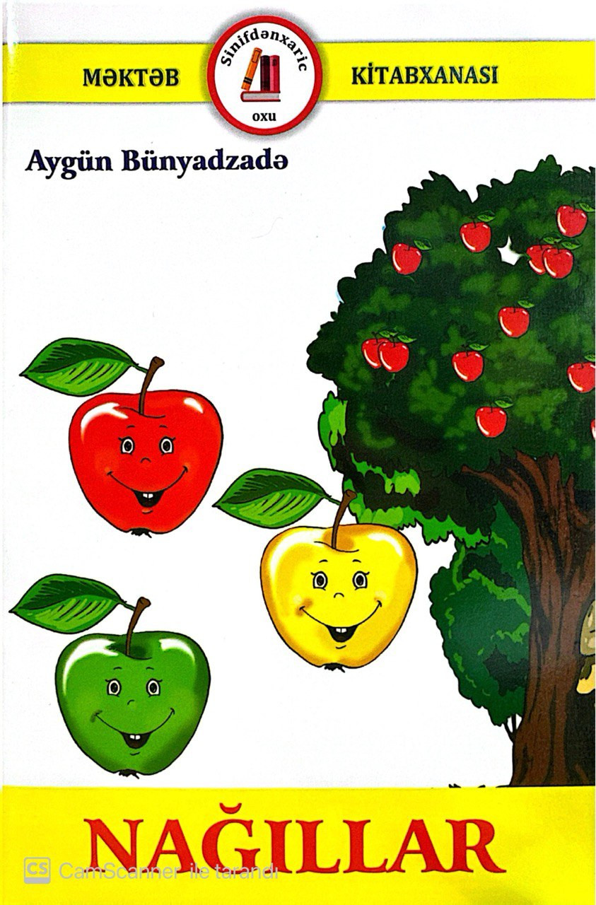 Kitab Nağıllar, müəllif Aygün Bünyadzadə