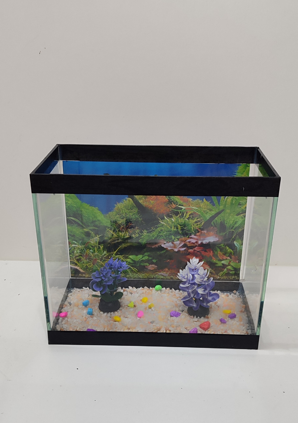Akvarium, şüşə, 25x30x17 sm, 10 l