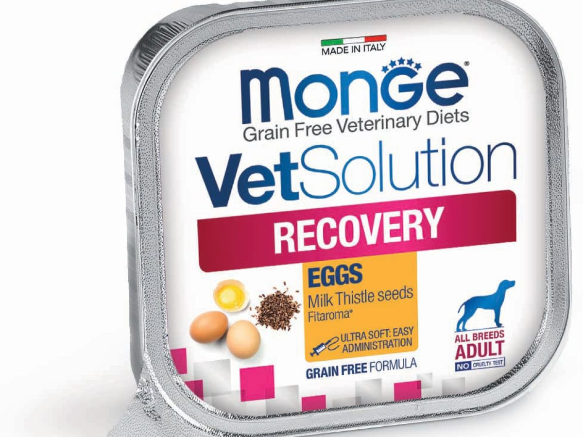 Konserv Monge, yetkin itlər üçün, donuz əti və balıq 150 ml