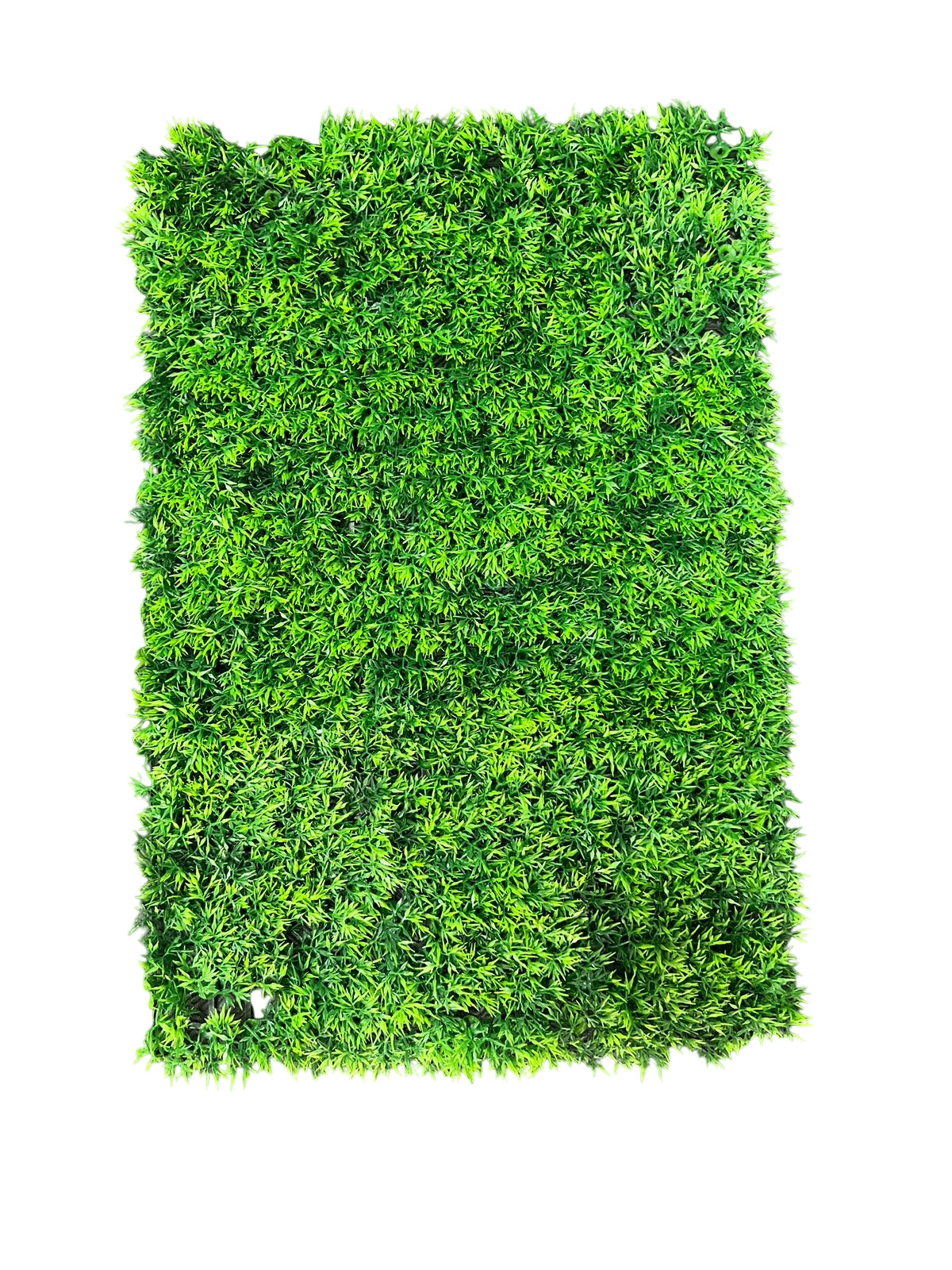 Divar paneli 65841731, yaşıl, 40x60 sm