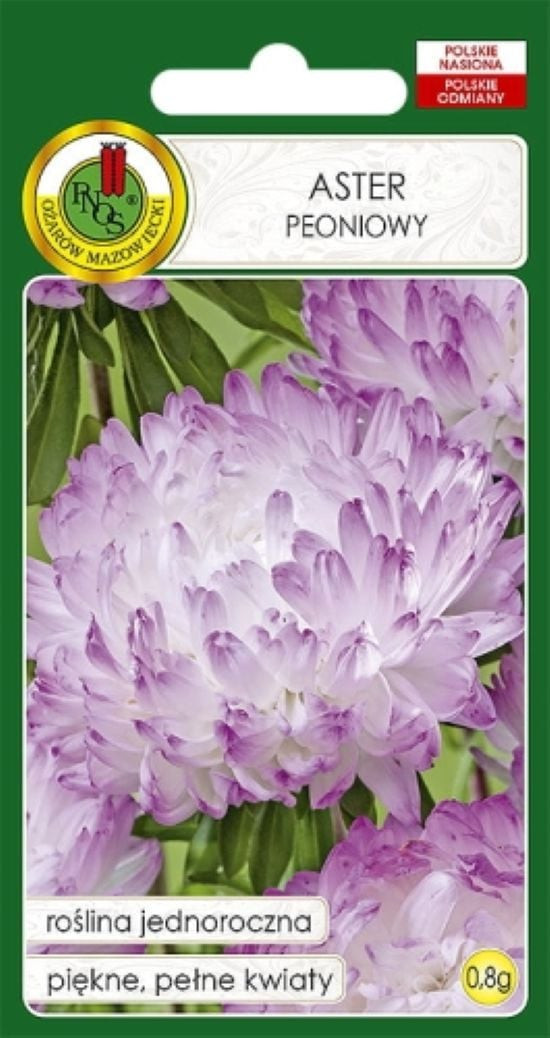 Çiçək toxumları PNOS Aster Peoniowy Bənövşəyi Açıq 0.8 q