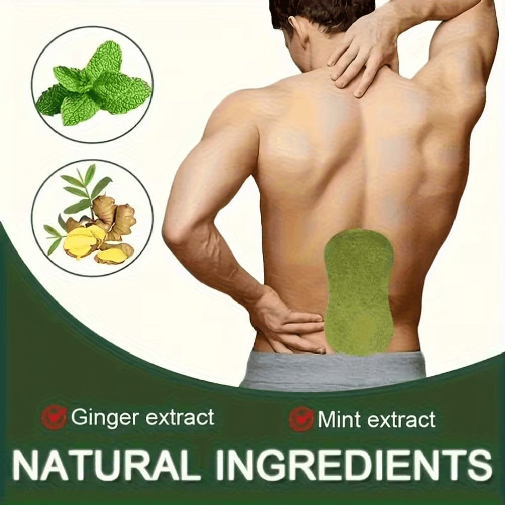 İsti plastır zəncəfil və nanə ekstraktlı, 5 əd