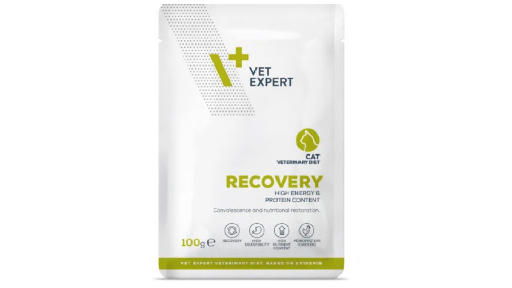 VetExpert Veterinary Diet Recovery Cat 100g