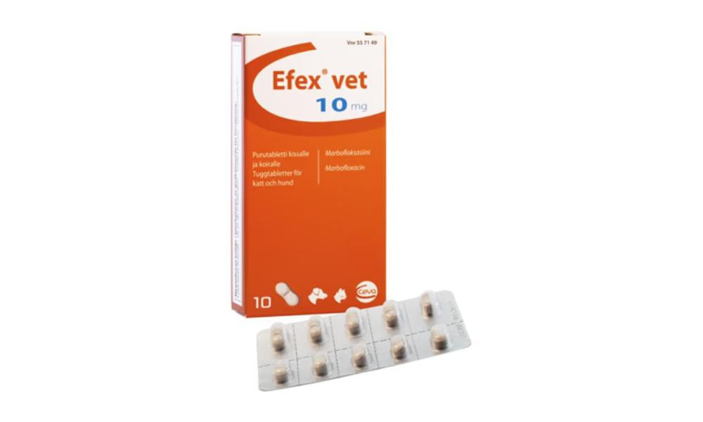 Antibiotik Efex İtlər, Pişiklər 1+ kq Həb Marbofloxacina 10 mq 1tab