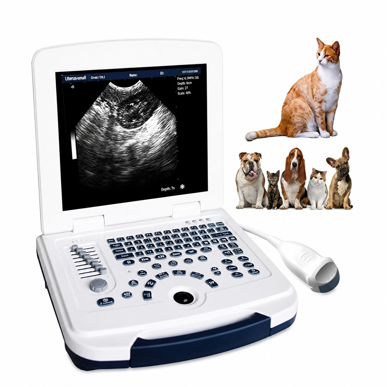 USM cihazı Longermay Vet580