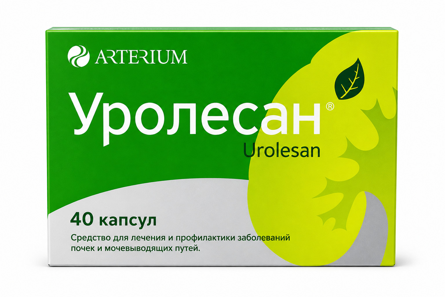 Urologiya kapsulaları Urolesan № 40