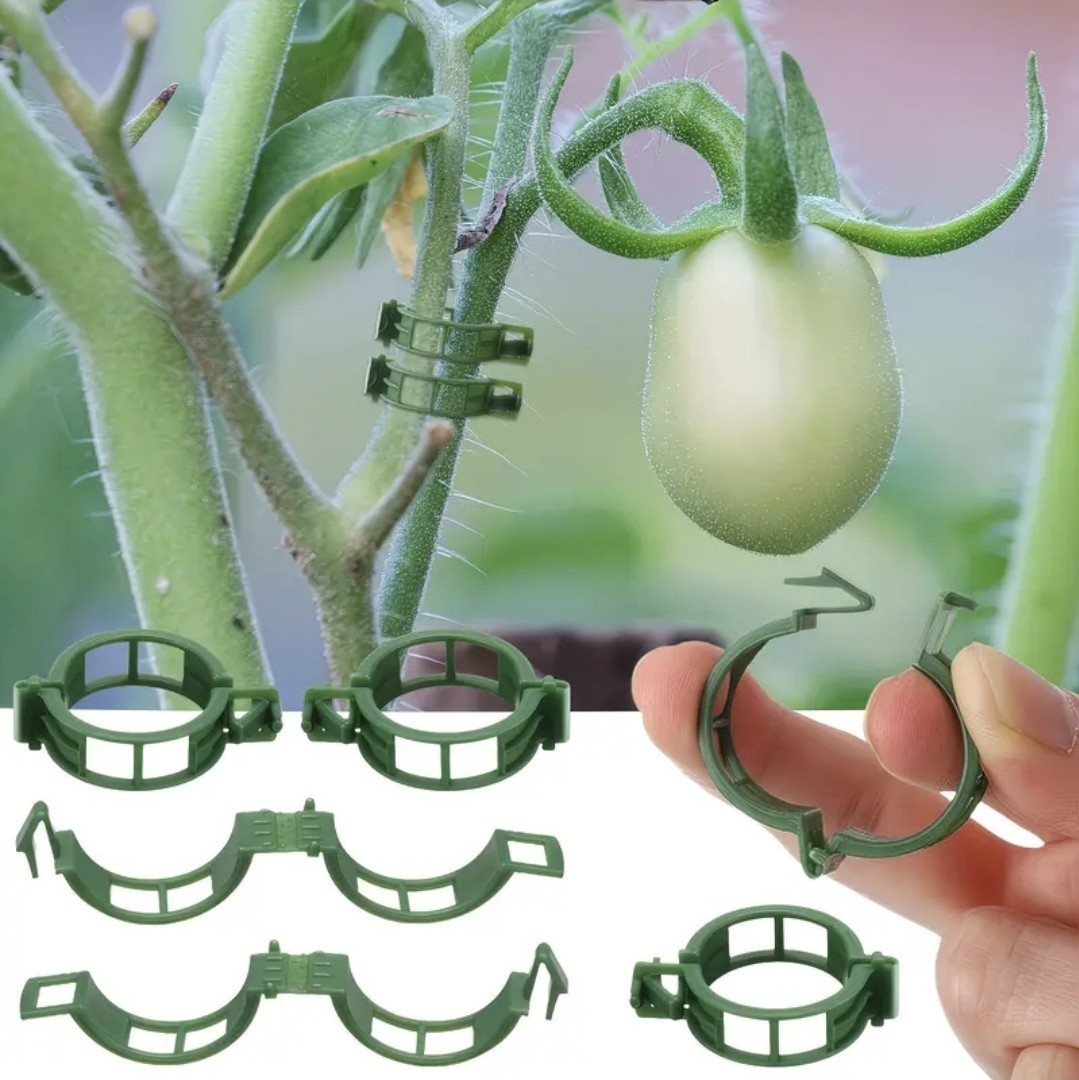Bitkiləri bərkitmək üçün skob dəsti 2645882, plastik, 10 əd