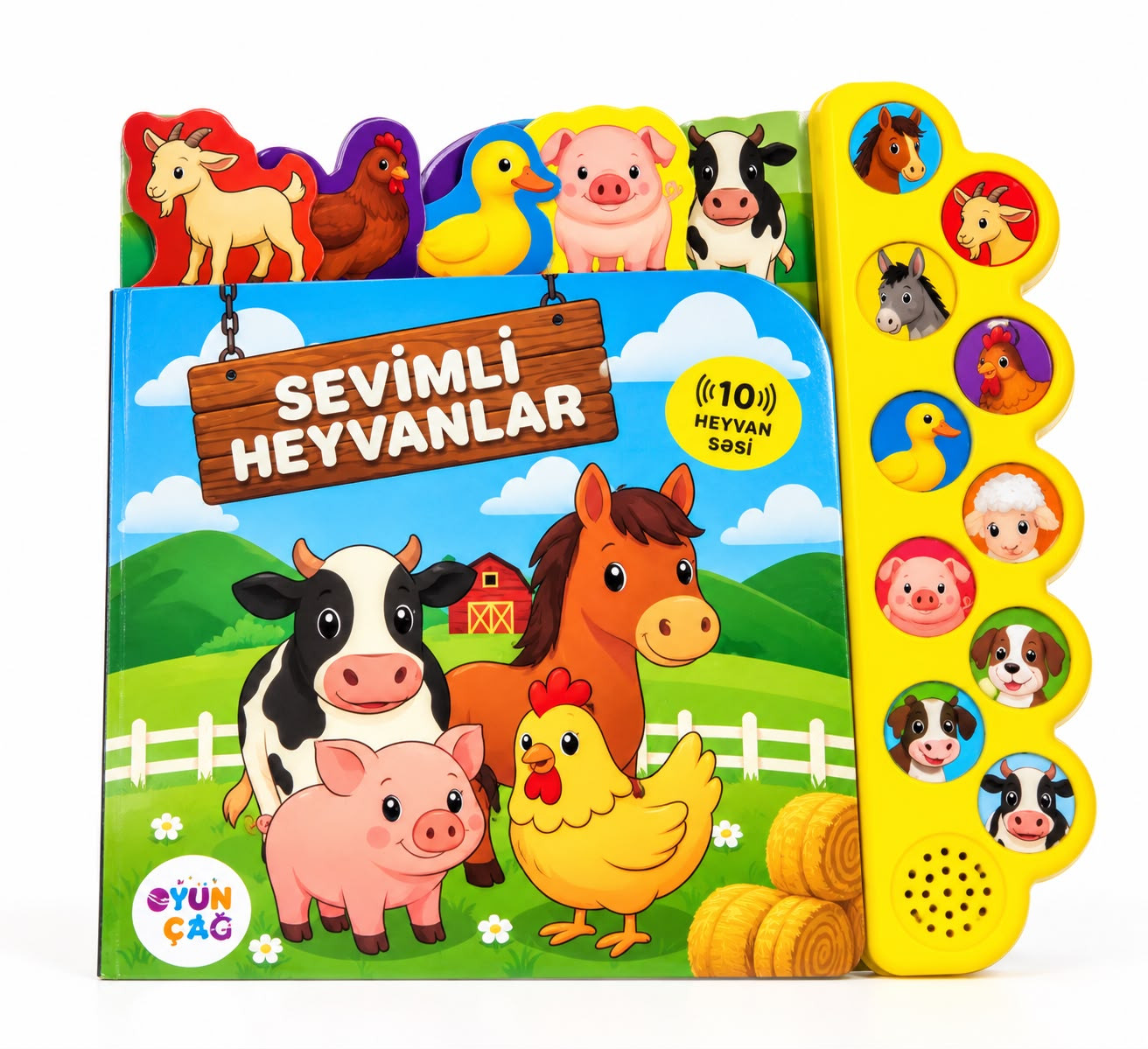 Kitab Sevimli Heyvanlar, müəllif Əşrəfova Kəmalə