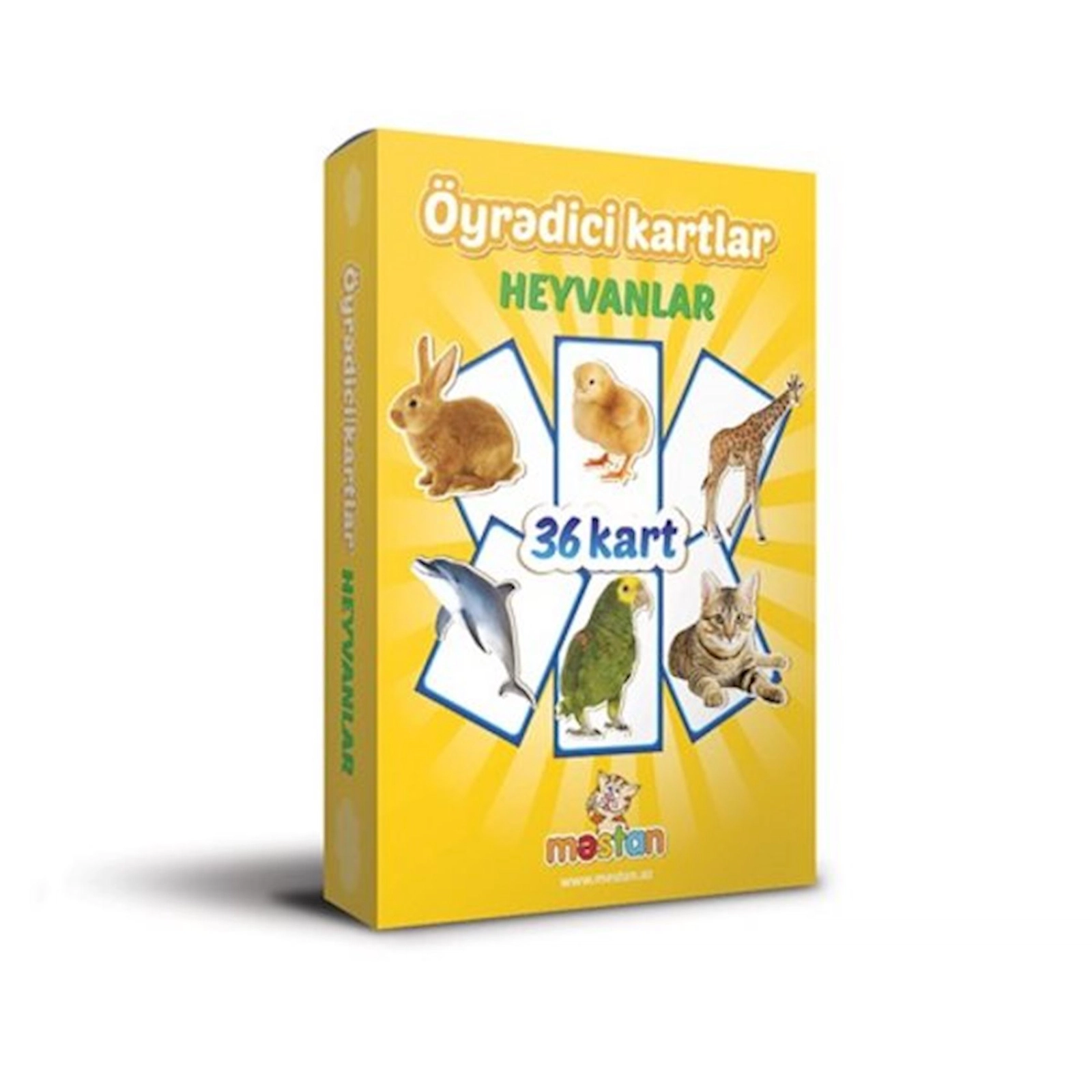 Öyrədici kartlar Mestan Heyvanlar