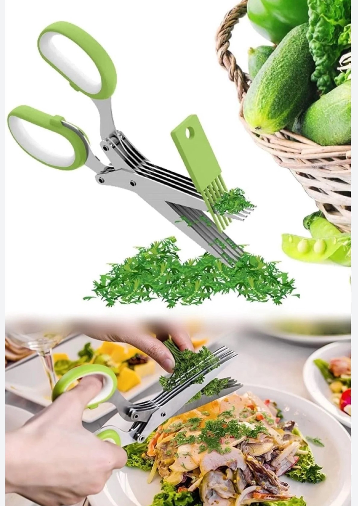 Mətbəx qayçıları göyərti üçün HMSD_K527 22 sm