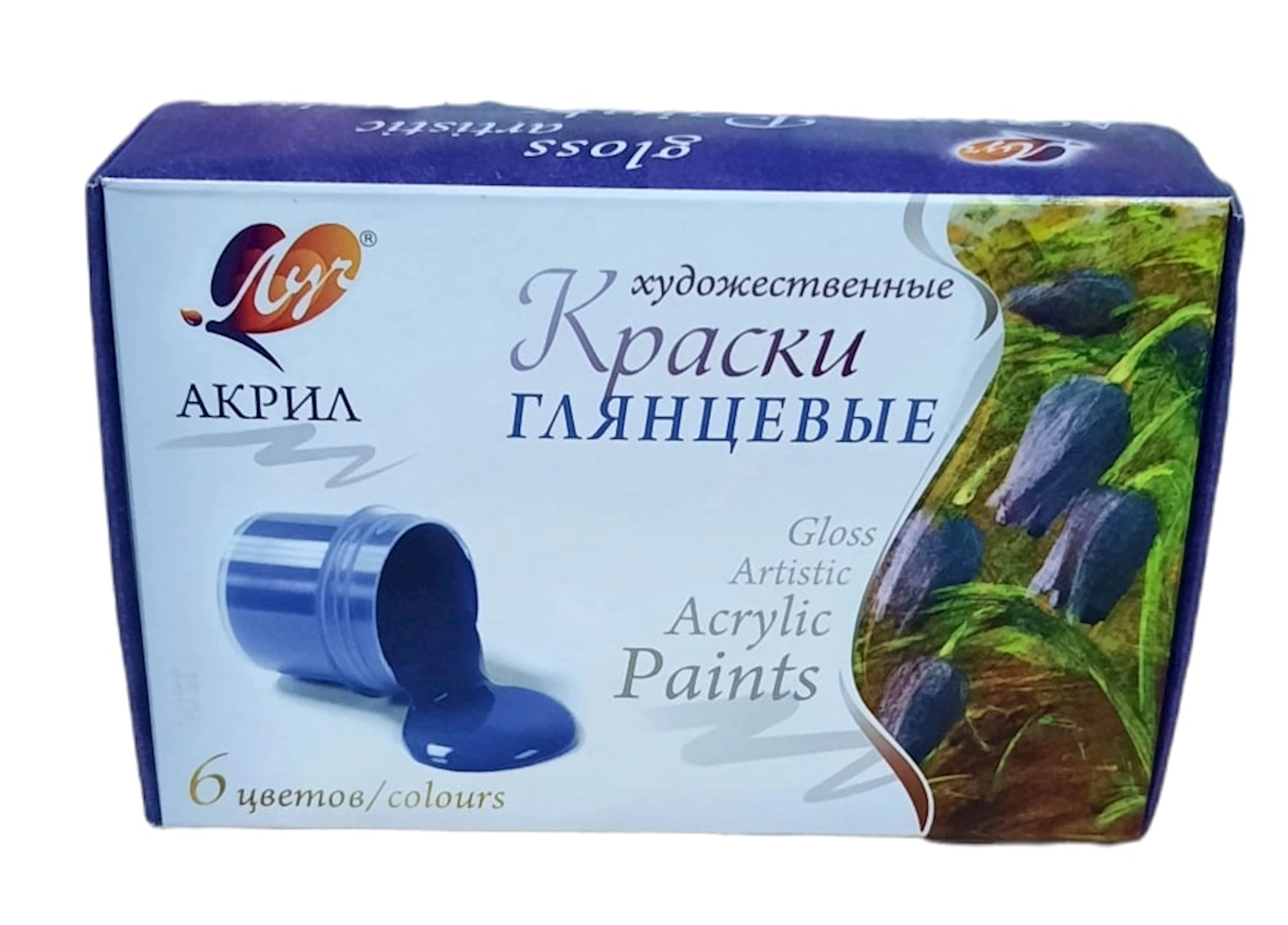 Akril boyalar dəsti Luç художественные parlaq, 6 rəng, 20 ml.