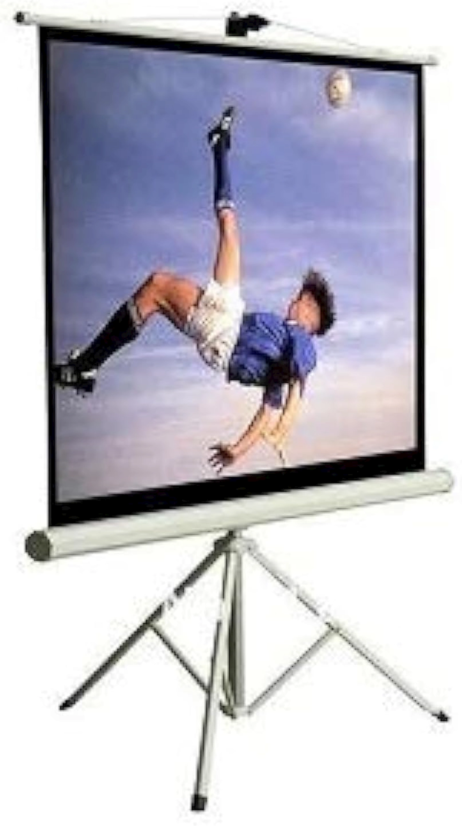 Proyektor ekranı I-View projector screen tripod, 240 sm