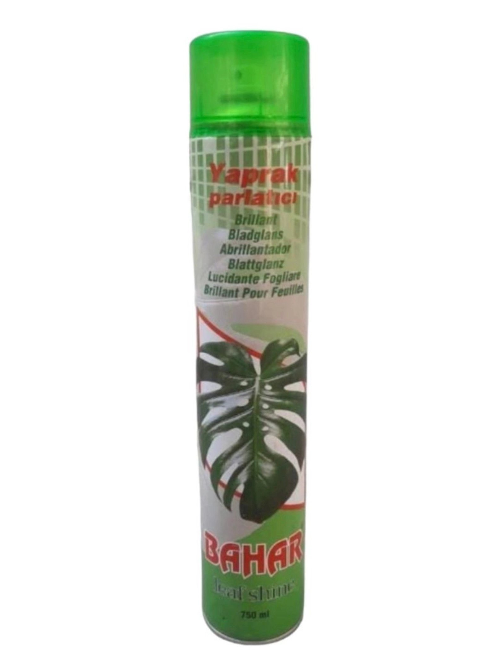 Vasitə yarpaq parıltısı üçün Oazis Bahar 750 ml
