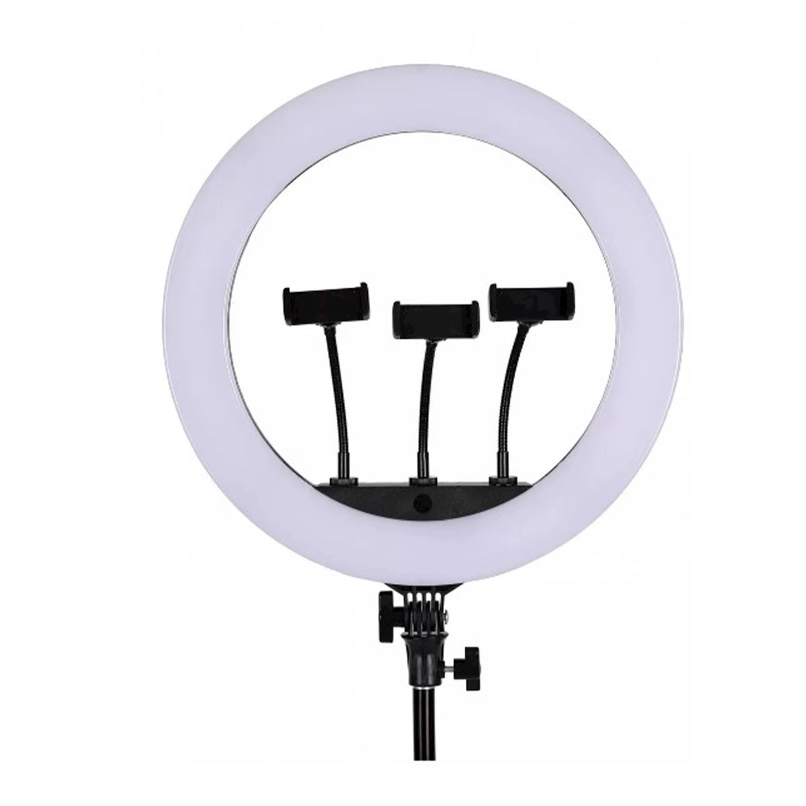 Dairəvi lampa Nettech LJJ-22