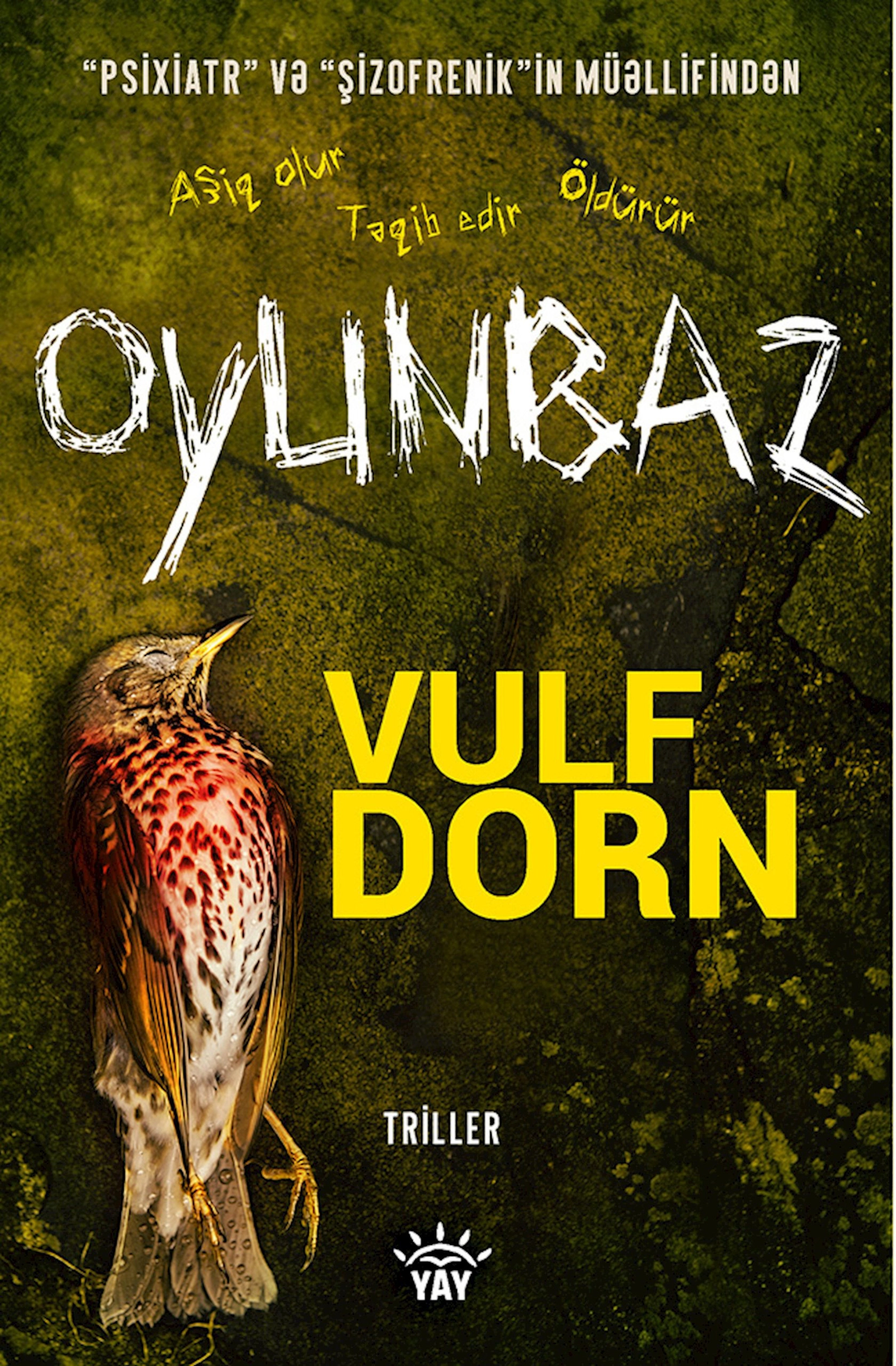 Kitab Oyunbaz, müəllif Vulf Dorn