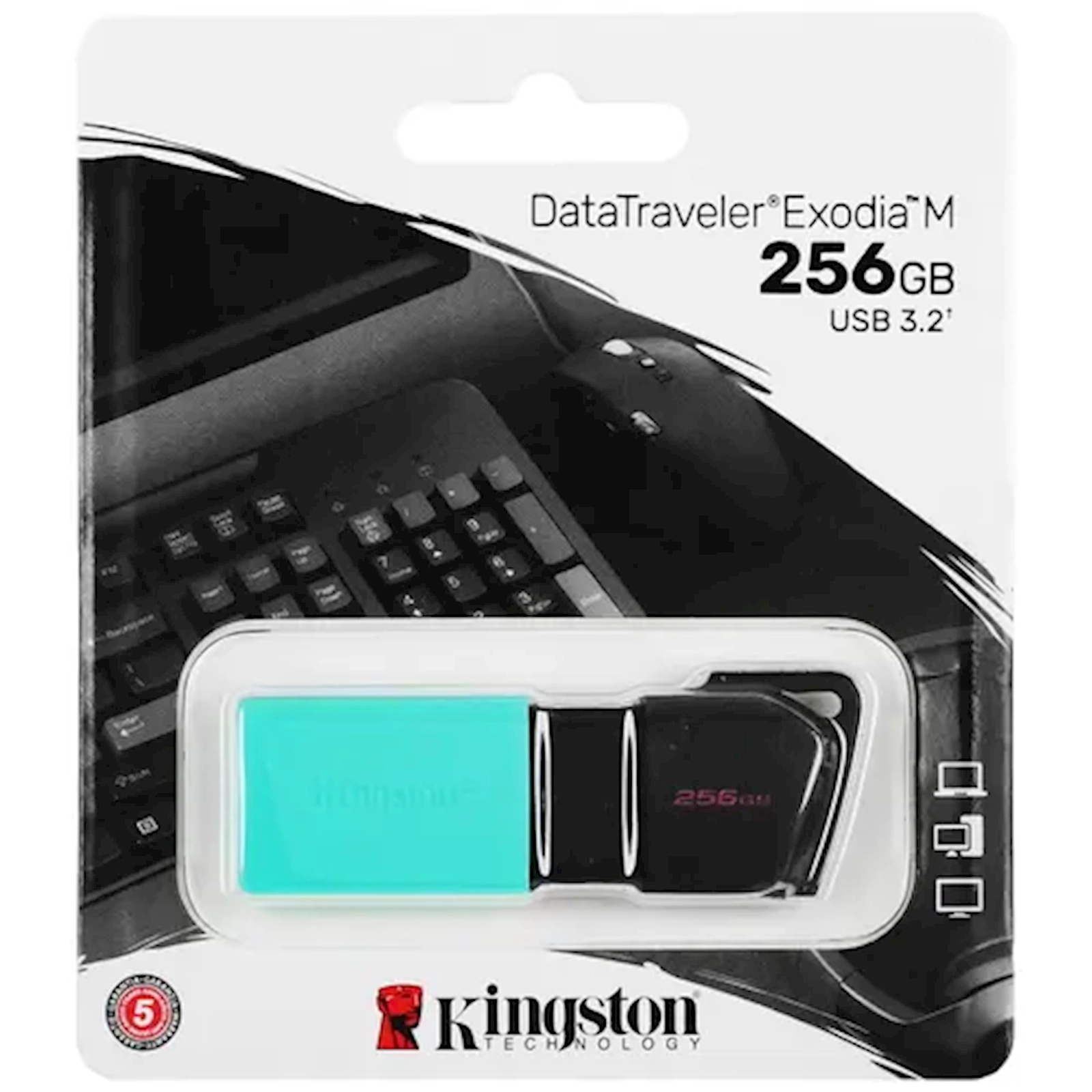 Fləş kart Kingston DataTraveler Exodia M 256GB (DTXM/256GB)